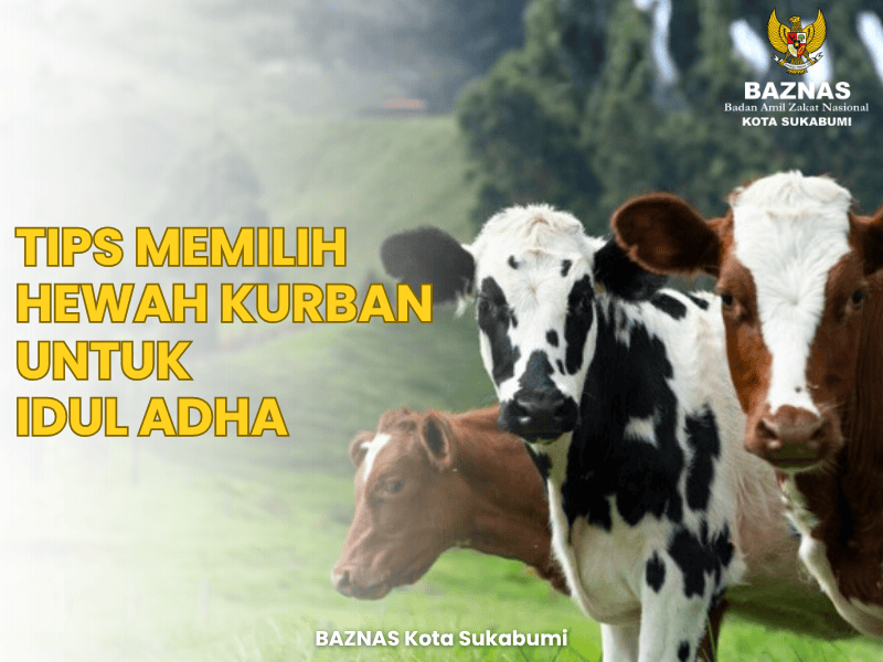Tips Memilih Hewan Kurban yang Sesuai Syariat dan Sehat untuk Idul Adha 2026