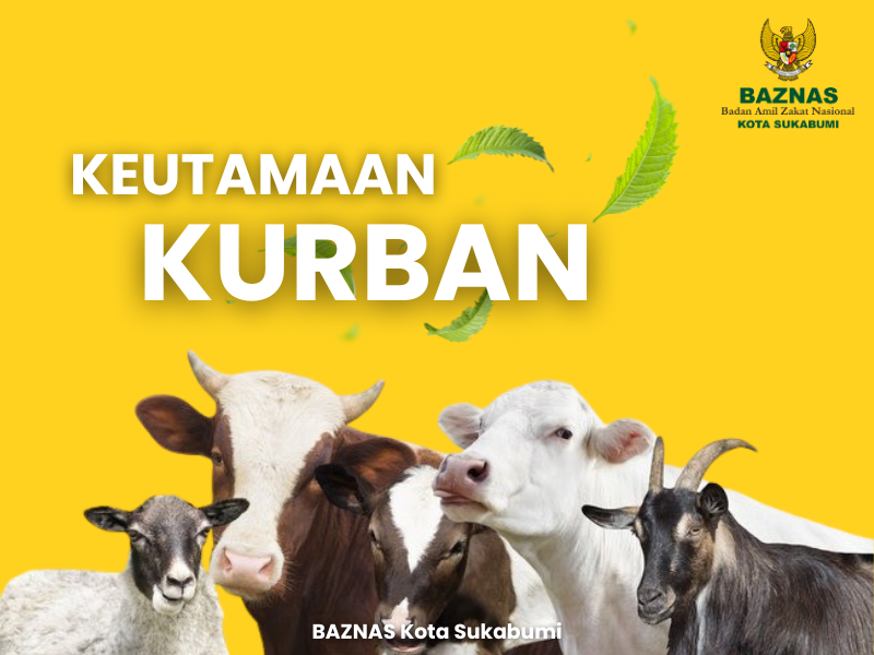 Keutamaan Kurban Menyempurnakan Ibadah Idul Adha