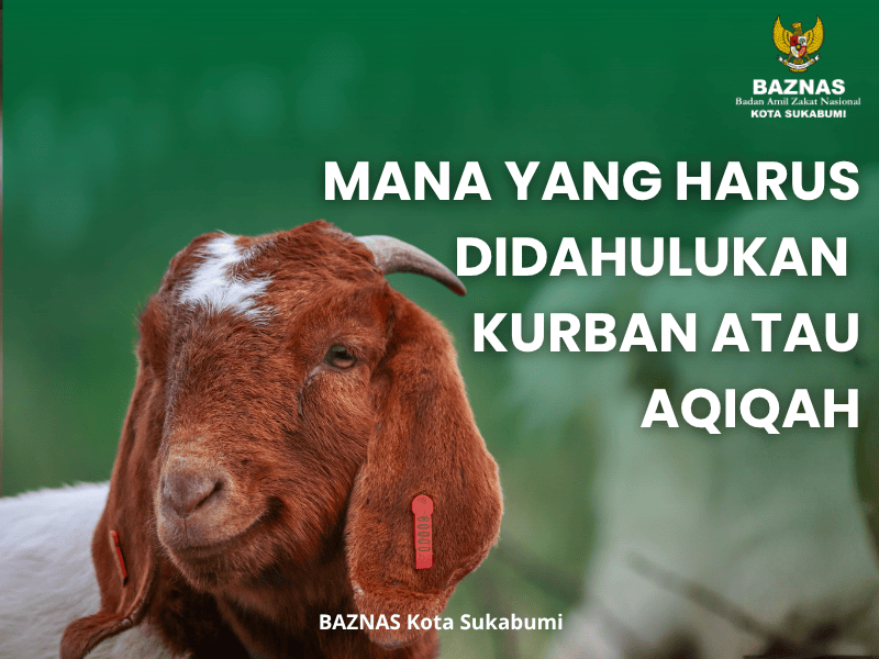 Mana yang harus di dahulukan aqiqah atau kurban ?